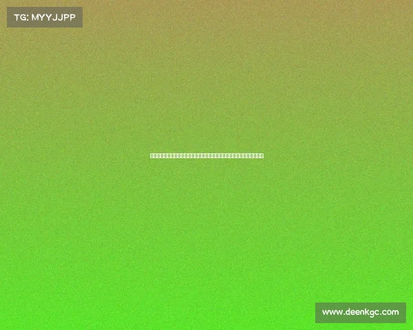 搏击赛事的流程与规划—搏击赛场风云录：从选手登场到终极对决全程解析